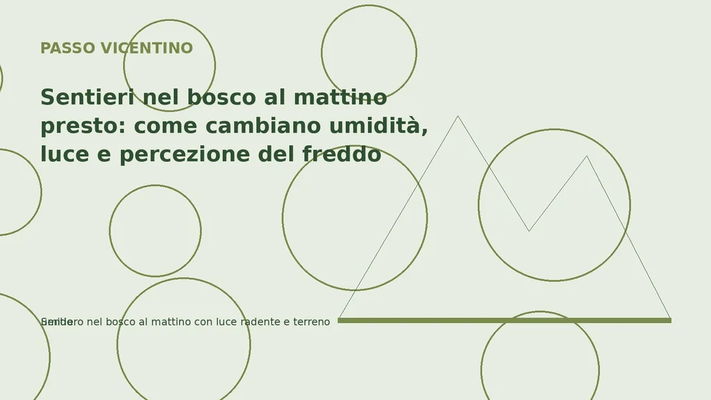 Sentiero nel bosco al mattino con luce radente e terreno umido