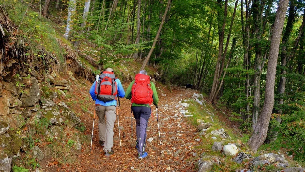 Fondo del sentiero: come riconoscere dalla descrizione ghiaia, roccia e terreno compatto