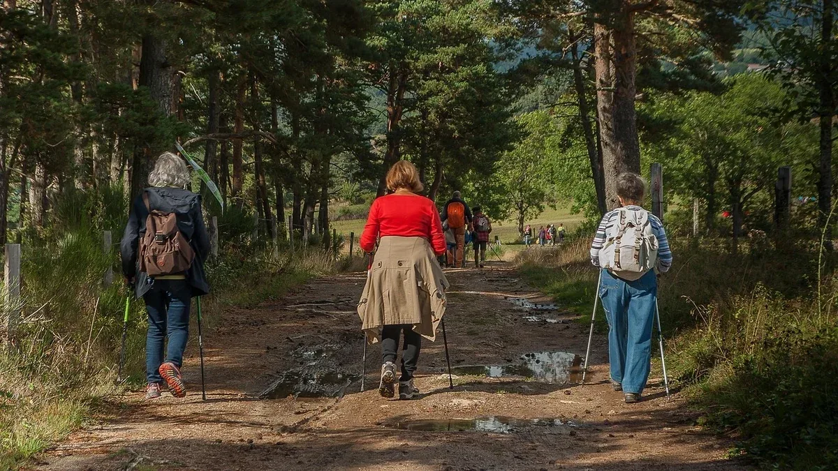 Passi al minuto nel Nordic Walking: come usare la cadenza senza forzare l'andatura