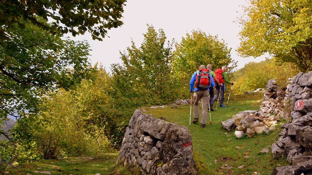 Nordic walking nel verde: come iniziare su un percorso pianeggiante