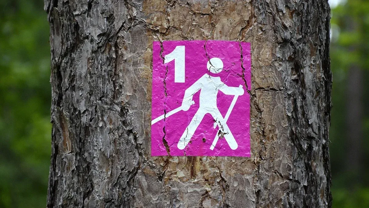 Sentiero per nordic walking: come valutare larghezza, fondo e continuità del passo