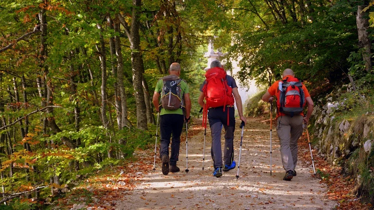 Camminata tradizionale o nordic walking: come scegliere per una prima uscita all’aperto