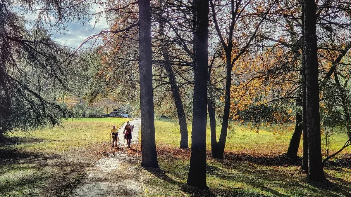 Passeggiare in silenzio con qualcuno: come lasciare spazio all’ascolto dell’ambiente