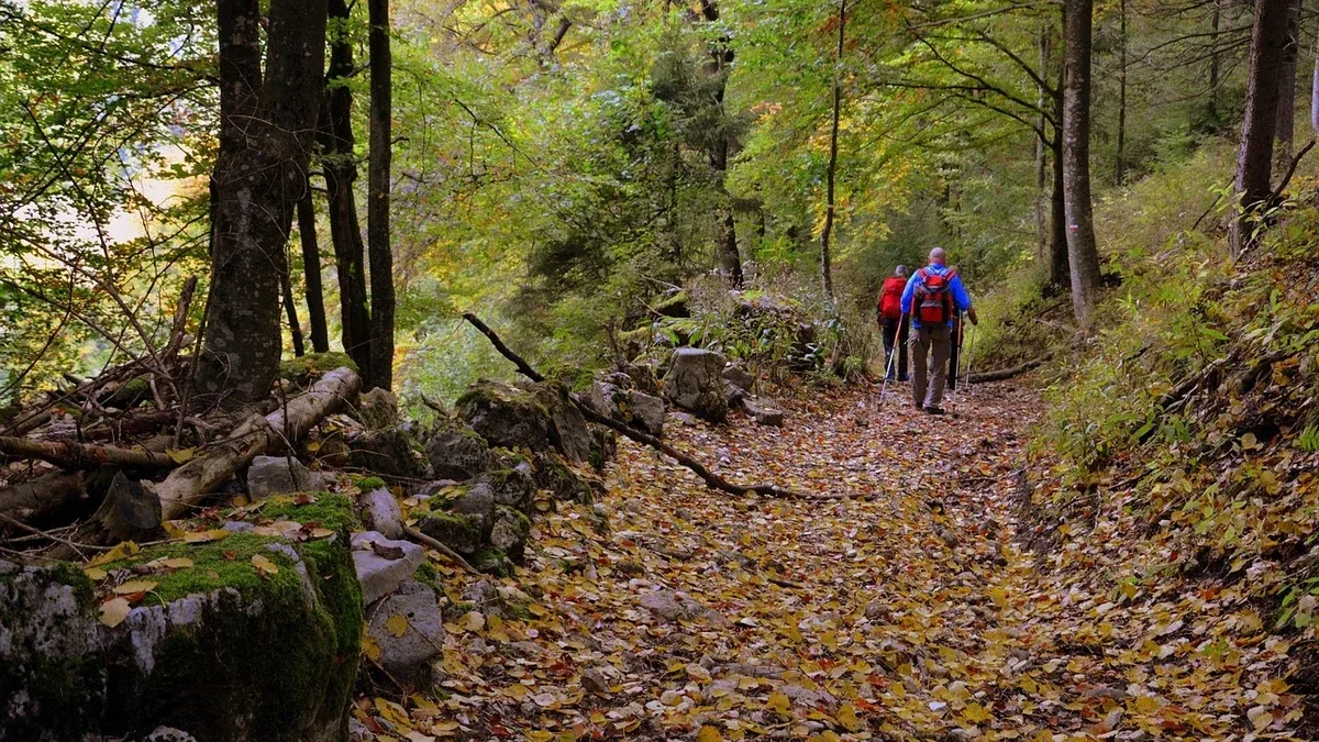 Camminare all'aperto in autunno: come adattare la durata alle giornate corte